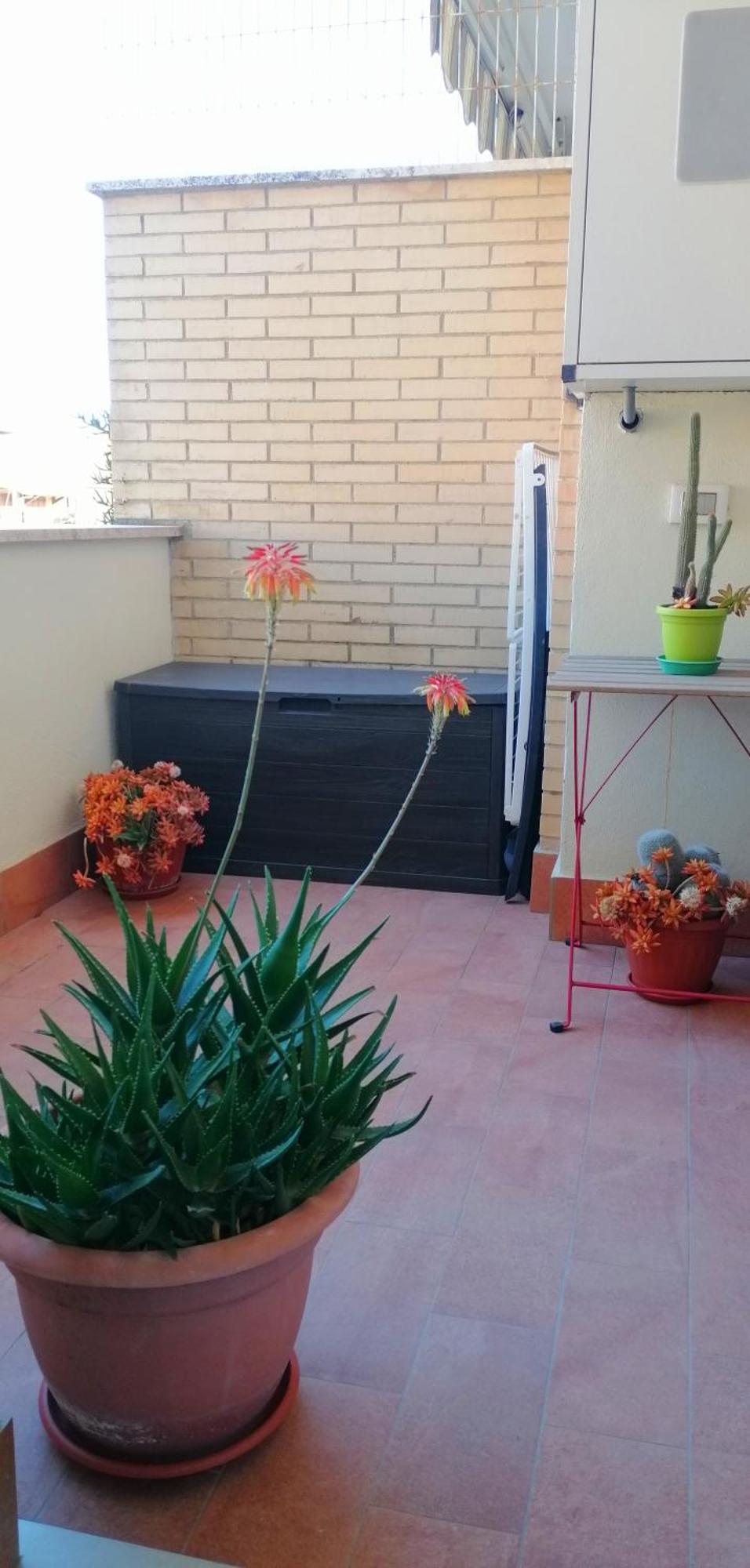 Apartamento A Few Steps From The Sea Fiumicino Exterior foto